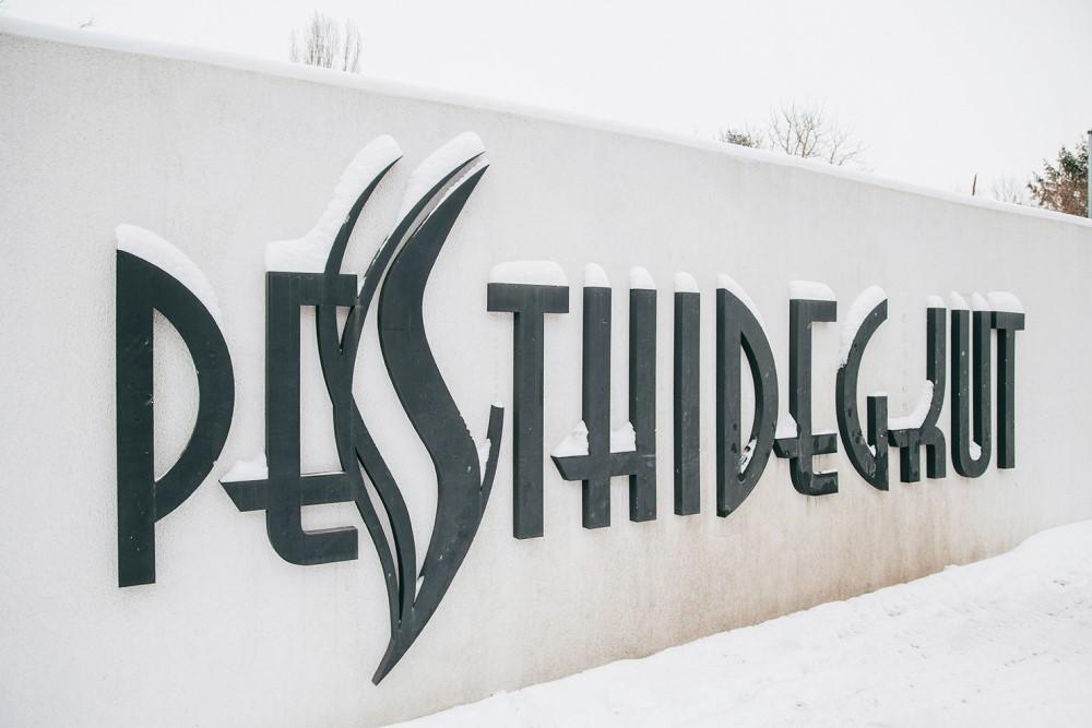 Új civil szervezet alakult Pesthidegkúton